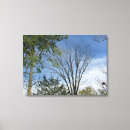 Search for sunny sky art Pretty