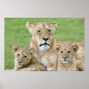 Search for behaviorism posters Cute