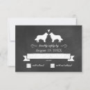 Search for border collies invitations Animals