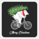 Search for bear bike stickers Cyclist