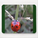 Search for blading mouse mats Green