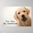 Search for golden retriever puppy art Pets