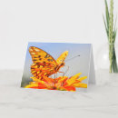 Search for feeding cards Butterfly