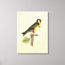 Search for branches canvas prints Bird