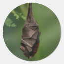 Search for tranquility stickers Serene