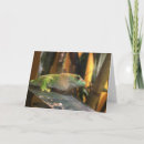 Search for geckos cards Lizard