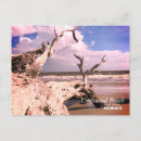 Search for jekyll postcards Driftwood