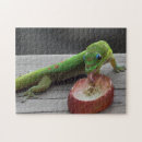 Search for gecko puzzles Nature