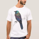 Search for grackle tshirts Bird