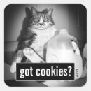 Search for drinking joke stickers Humour