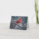 Search for red bird christmas cards Happy holidays merry christmas