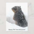 Search for squirrels postcards Snow
