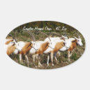 Search for african savanna stickers Animals