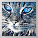 Search for blue eyed cat posters Pet