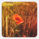 Search for red poppy stickers Party