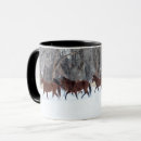 Search for quarter horse mugs Superstock