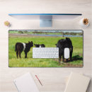 Search for belted mouse mats Cattle