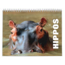 Search for hippo calendars Wildlife
