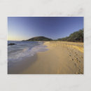 Search for makena postcards Landscape