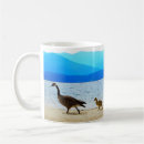 Search for shore mugs Wildlife
