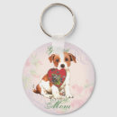 Search for curator accessories Dog