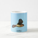 Search for kestrels mugs Nature