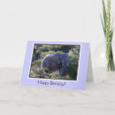 Search for african tree postcards Elephant