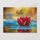 Search for pond postcards Photography