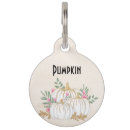 Search for patch pet supplies Pumpkins