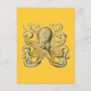 Search for biologists postcards Octopus