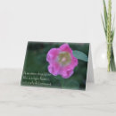 Search for hollyhock cards Pink