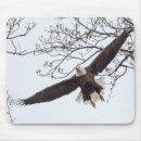 Search for bald eagle mouse mats Flying
