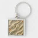 Search for pictures of shells key rings Coast