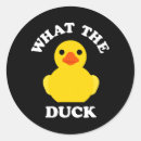 Search for cute rubber stickers Duck