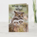 Search for owl mothers day cards Birds