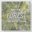 Search for the environment barware Forest