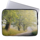 Search for cades cove electronics Scenic