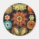 Search for biologists magnets Marine life