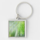 Search for sunlight key rings Nature