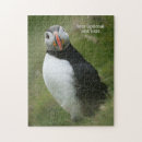 Search for puffin puzzles Nature