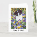 Search for border collie birthday cards Collies