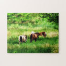 Search for country music puzzles Animals