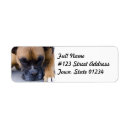 Search for rest return address labels Dog