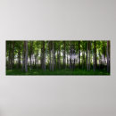 Search for protection posters Forest