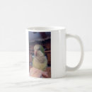 Search for quaker mugs Parrot