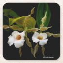 Search for hybrid coasters Florals