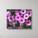 Search for african canvas prints Daisy