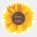 Search for gender reveal baby stickers Sunflower