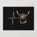 Search for scottish highland cow postcards Calf