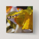 Search for gallery badges White